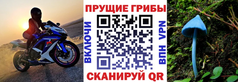 Псилоцибиновые грибы мицелий  mega ссылки  darknet состав  Лесной 