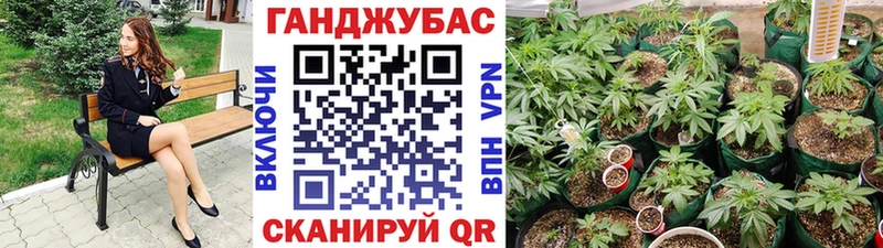 Каннабис марихуана  купить наркоту  Лесной 